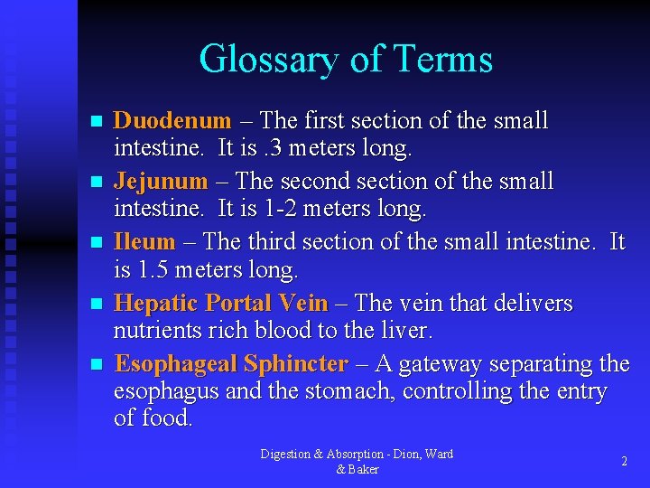 Glossary of Terms n n n Duodenum – The first section of the small