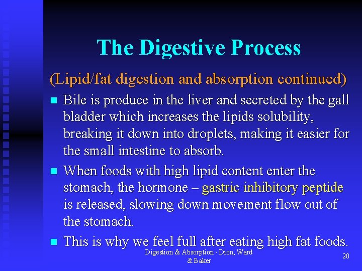 The Digestive Process (Lipid/fat digestion and absorption continued) n n n Bile is produce