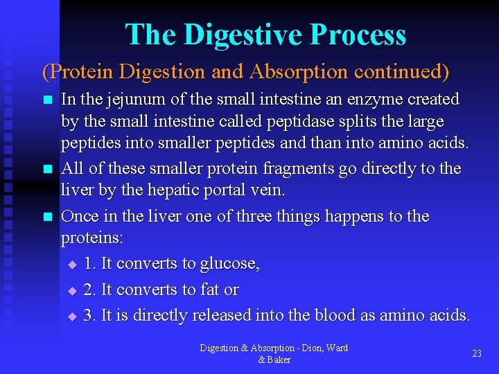 The Digestive Process (Protein Digestion and Absorption continued) n n n In the jejunum