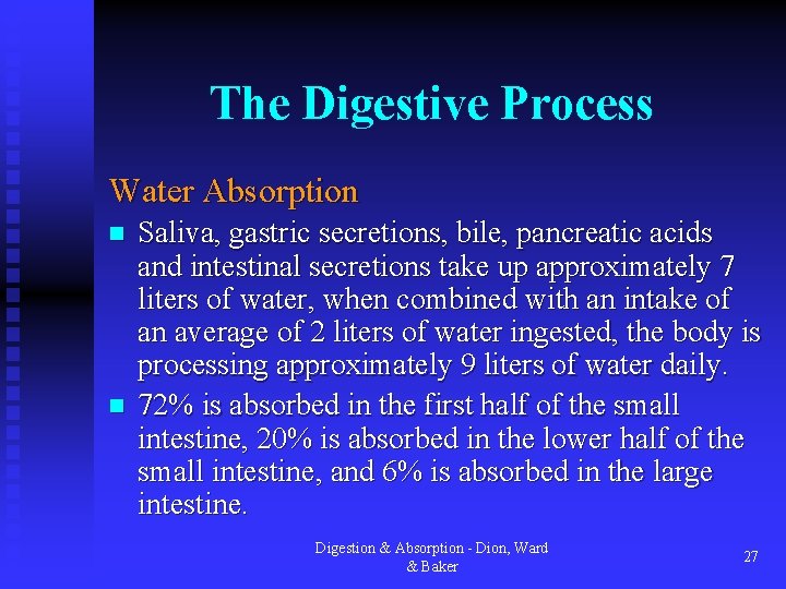 The Digestive Process Water Absorption n n Saliva, gastric secretions, bile, pancreatic acids and