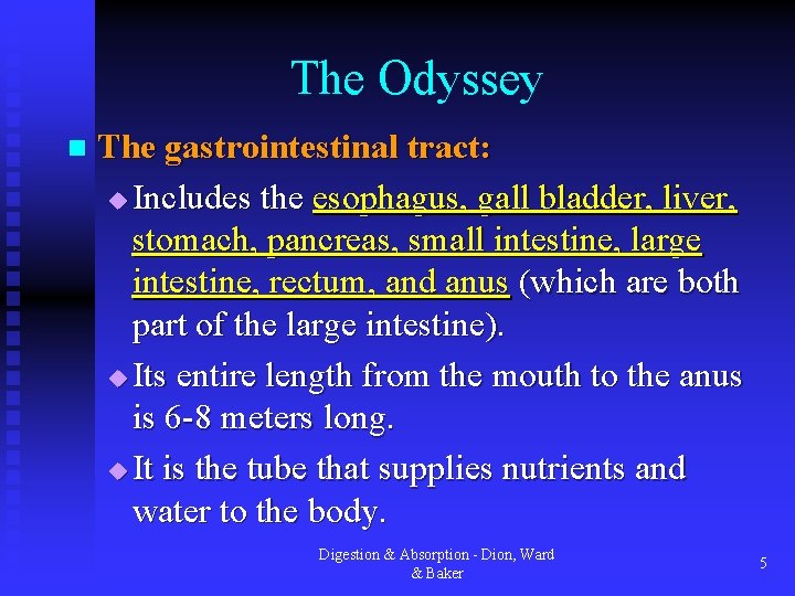 The Odyssey n The gastrointestinal tract: u Includes the esophagus, gall bladder, liver, stomach,