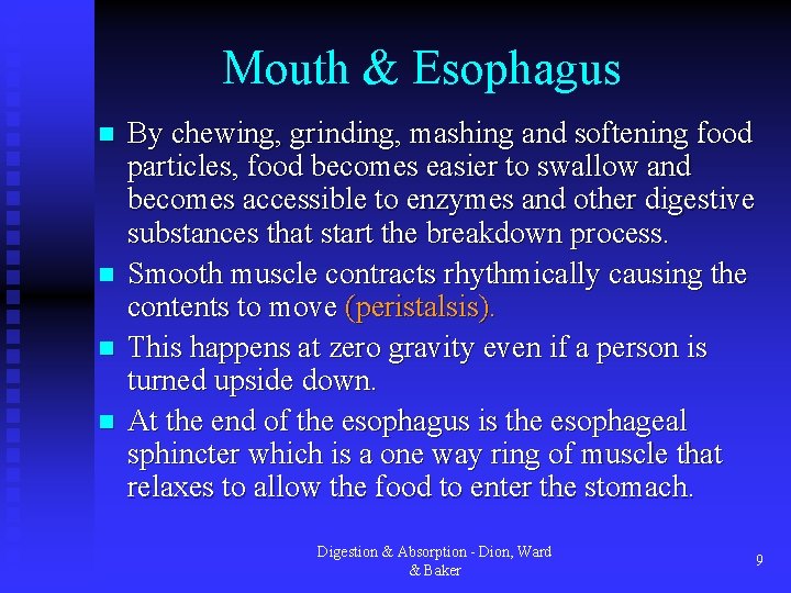 Mouth & Esophagus n n By chewing, grinding, mashing and softening food particles, food