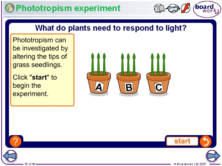 Phototropism experiment 16 of 48 © Boardworks Ltd 2007 