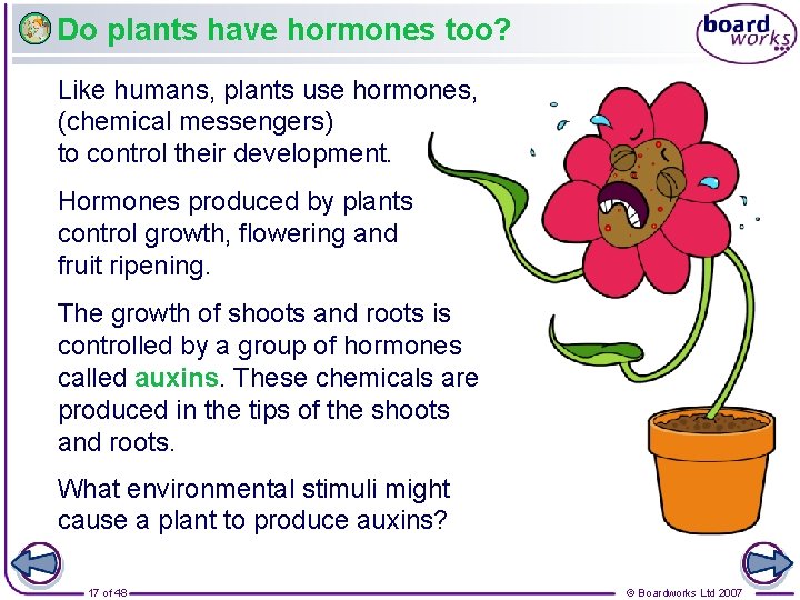 Do plants have hormones too? Like humans, plants use hormones, (chemical messengers) to control