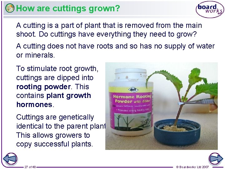 How are cuttings grown? A cutting is a part of plant that is removed