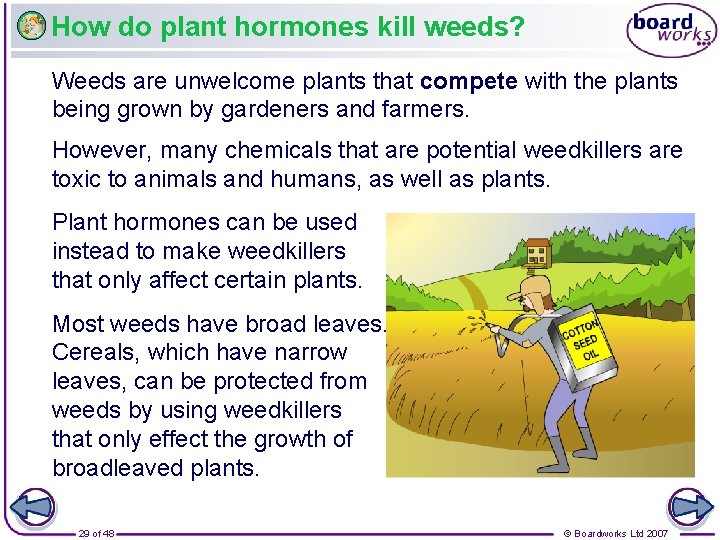 How do plant hormones kill weeds? Weeds are unwelcome plants that compete with the