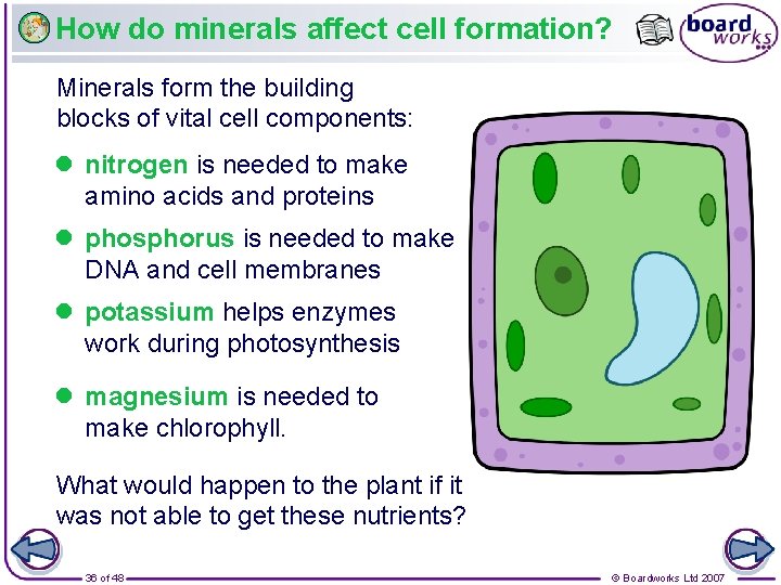 How do minerals affect cell formation? Minerals form the building blocks of vital cell