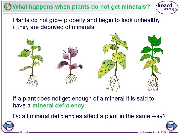 What happens when plants do not get minerals? Plants do not grow properly and