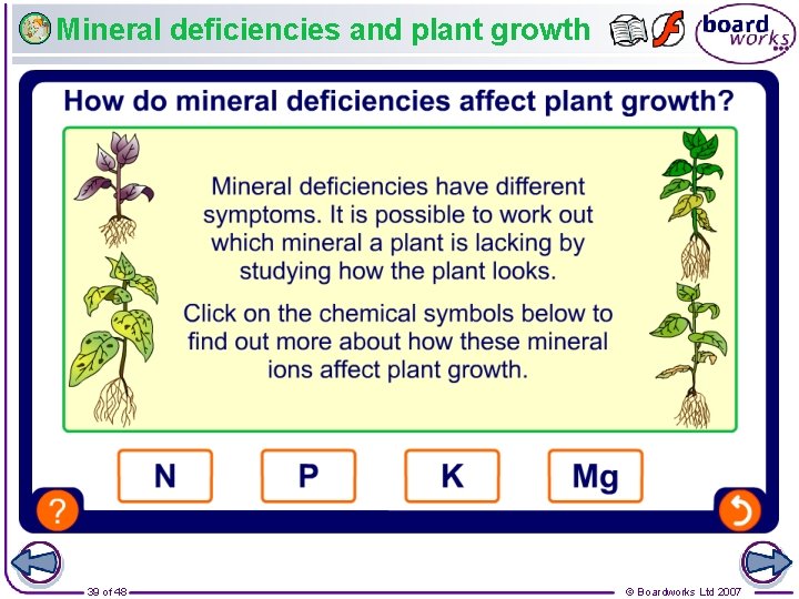 Mineral deficiencies and plant growth 39 of 48 © Boardworks Ltd 2007 