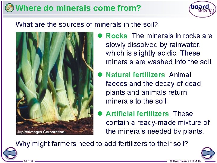 Where do minerals come from? What are the sources of minerals in the soil?