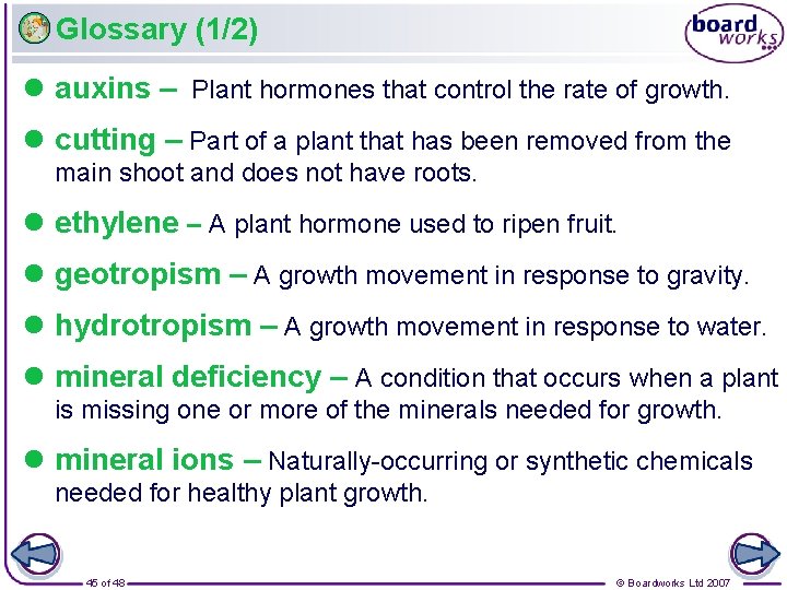 Glossary (1/2) l auxins – Plant hormones that control the rate of growth. l