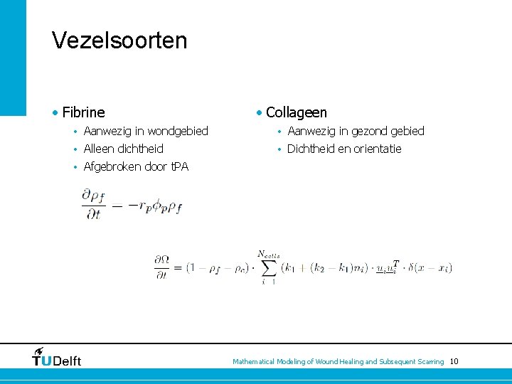 Vezelsoorten • Fibrine • Collageen • Aanwezig in wondgebied • Aanwezig in gezond gebied