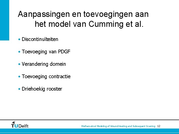 Aanpassingen en toevoegingen aan het model van Cumming et al. • Discontinuïteiten • Toevoeging