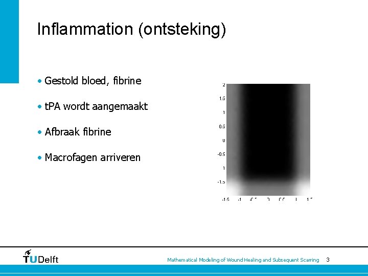 Inflammation (ontsteking) • Gestold bloed, fibrine • t. PA wordt aangemaakt • Afbraak fibrine