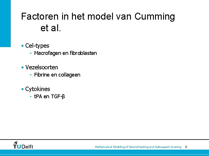 Factoren in het model van Cumming et al. • Cel-types • Macrofagen en fibroblasten