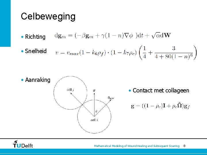 Celbeweging • Richting • Snelheid • Aanraking • Contact met collageen Mathematical Modeling of