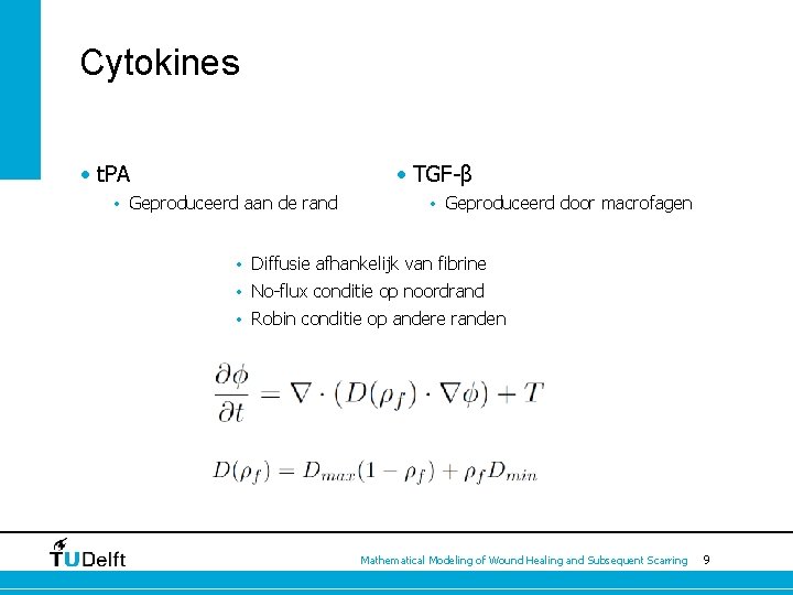 Cytokines • t. PA • TGF-β • Geproduceerd aan de rand • Geproduceerd door