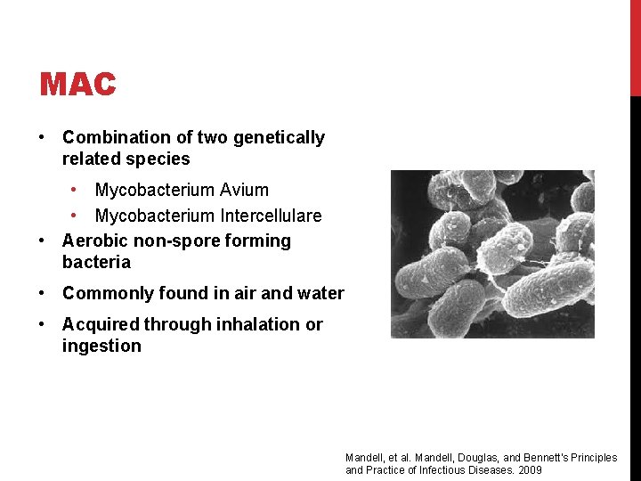 MAC • Combination of two genetically related species • Mycobacterium Avium • Mycobacterium Intercellulare