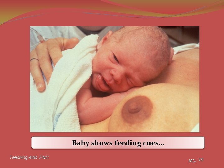 Baby shows feeding cues… Teaching Aids: ENC NC- 15 