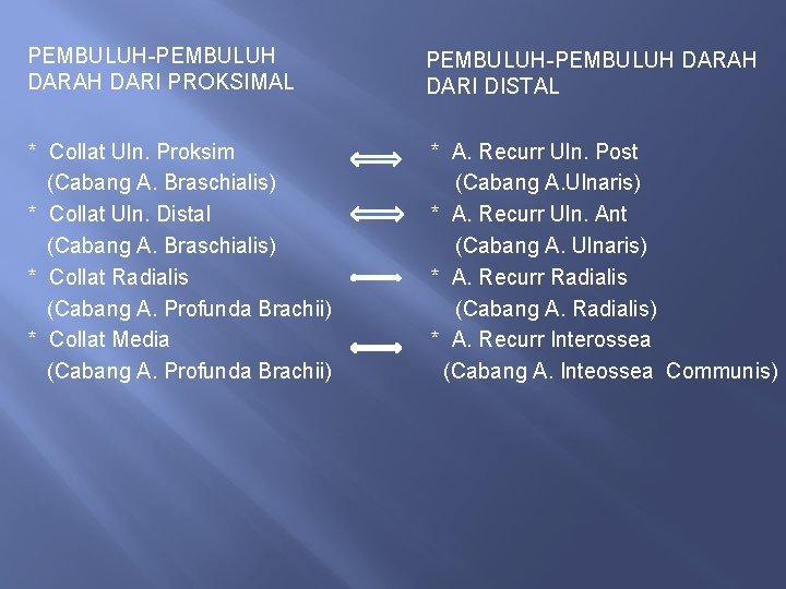 PEMBULUH-PEMBULUH DARAH DARI PROKSIMAL PEMBULUH-PEMBULUH DARAH DARI DISTAL * Collat Uln. Proksim (Cabang A.