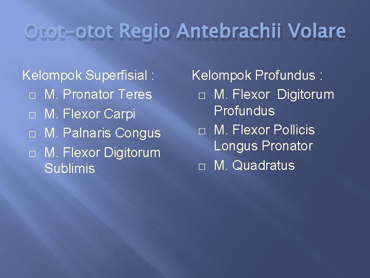 Otot-otot Regio Antebrachii Volare Kelompok Superfisial : � M. Pronator Teres � M. Flexor