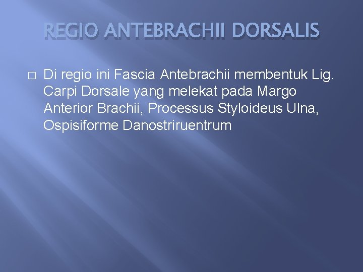 REGIO ANTEBRACHII DORSALIS � Di regio ini Fascia Antebrachii membentuk Lig. Carpi Dorsale yang