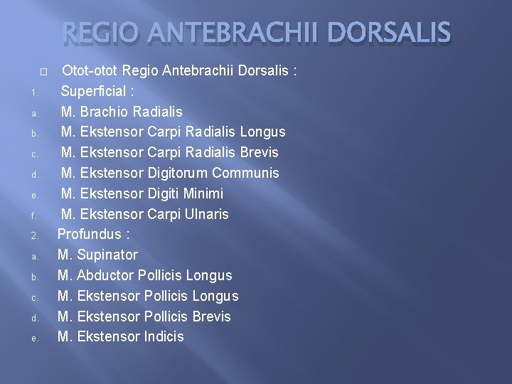 REGIO ANTEBRACHII DORSALIS � 1. a. b. c. d. e. f. 2. a. b.