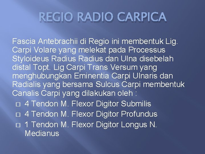 REGIO RADIO CARPICA Fascia Antebrachii di Regio ini membentuk Lig. Carpi Volare yang melekat