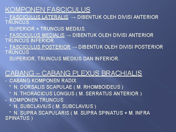 KOMPONEN FASCICULUS - FASCICULUS LATERALIS → DIBENTUK OLEH DIVISI ANTERIOR TRUNCUS SUPERIOR + TRUNCUS