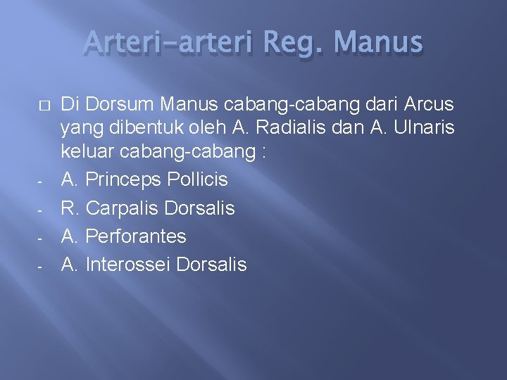 Arteri-arteri Reg. Manus � - Di Dorsum Manus cabang-cabang dari Arcus yang dibentuk oleh