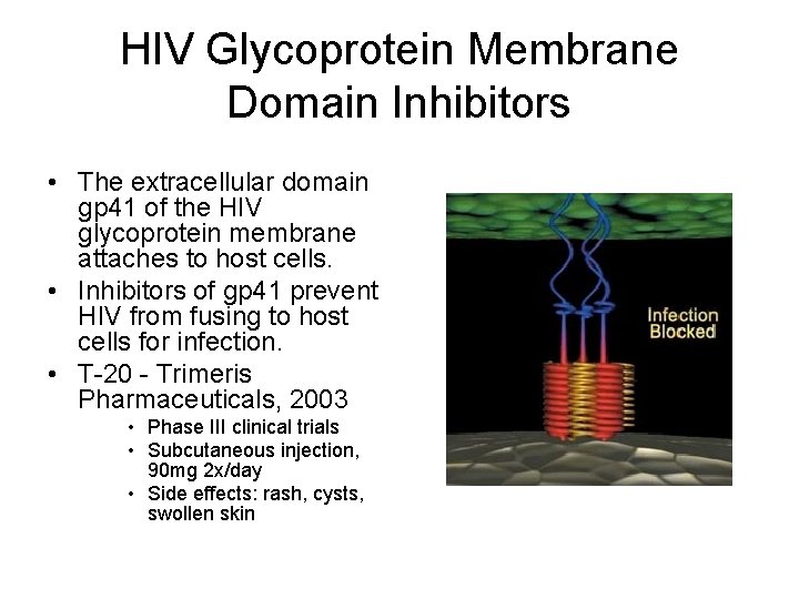 HIV Glycoprotein Membrane Domain Inhibitors • The extracellular domain gp 41 of the HIV