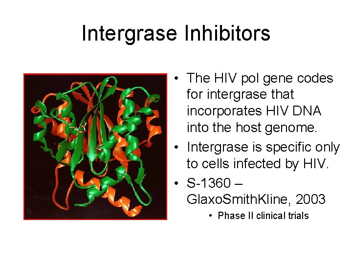 Intergrase Inhibitors • The HIV pol gene codes for intergrase that incorporates HIV DNA