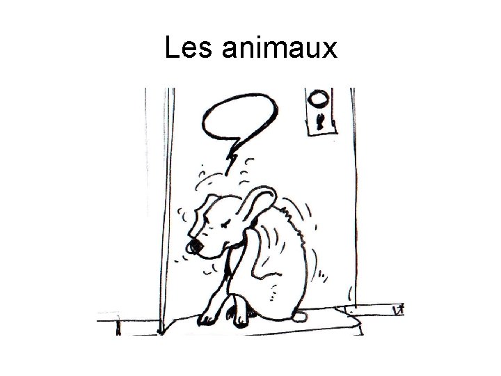 Les animaux 