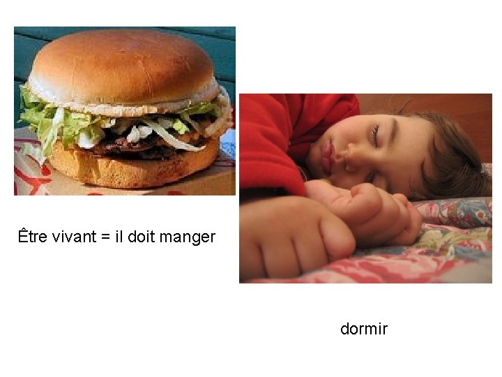 Être vivant = il doit manger dormir 