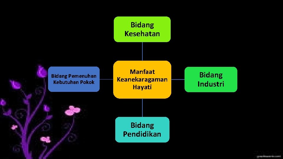 Bidang Kesehatan Bidang Pemenuhan Kebutuhan Pokok Manfaat Keanekaragaman Hayati Bidang Pendidikan Bidang Industri 