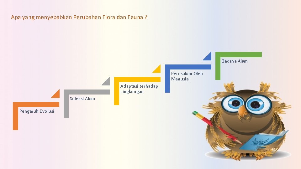 Apa yang menyebabkan Perubahan Flora dan Fauna ? Becana Alam Perusakan Oleh Manusia Adaptasi