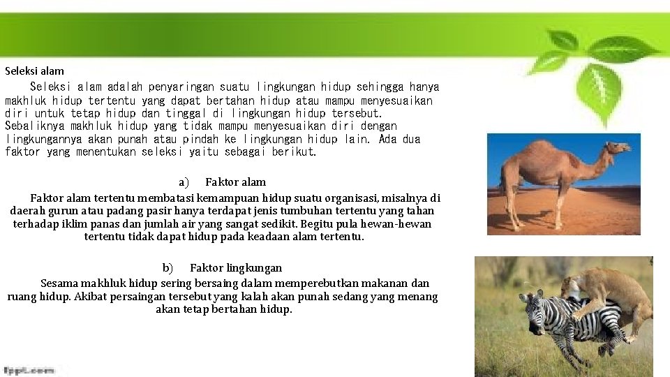 Seleksi alam adalah penyaringan suatu lingkungan hidup sehingga hanya makhluk hidup tertentu yang dapat