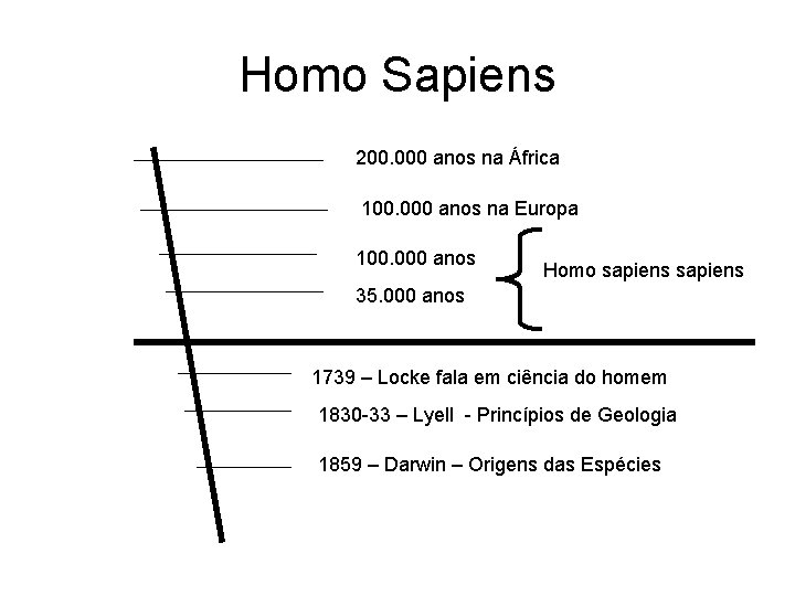 Homo Sapiens 200. 000 anos na África 100. 000 anos na Europa 100. 000