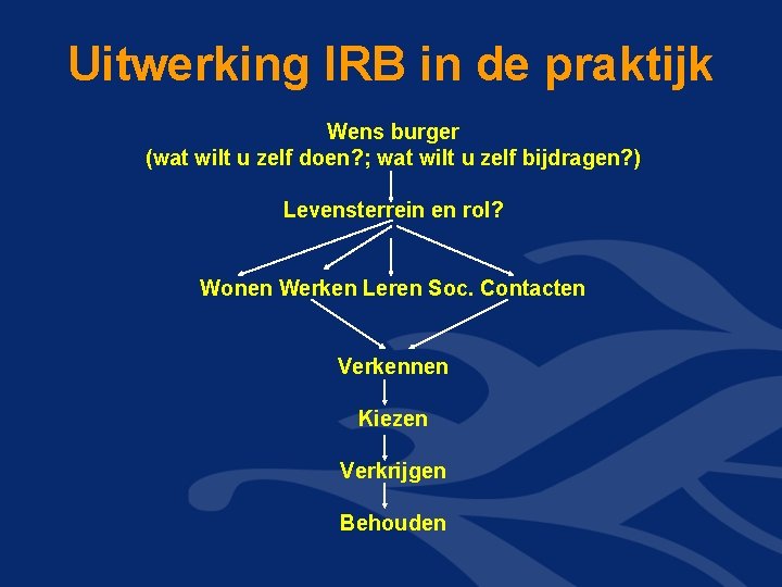 Uitwerking IRB in de praktijk Wens burger (wat wilt u zelf doen? ; wat