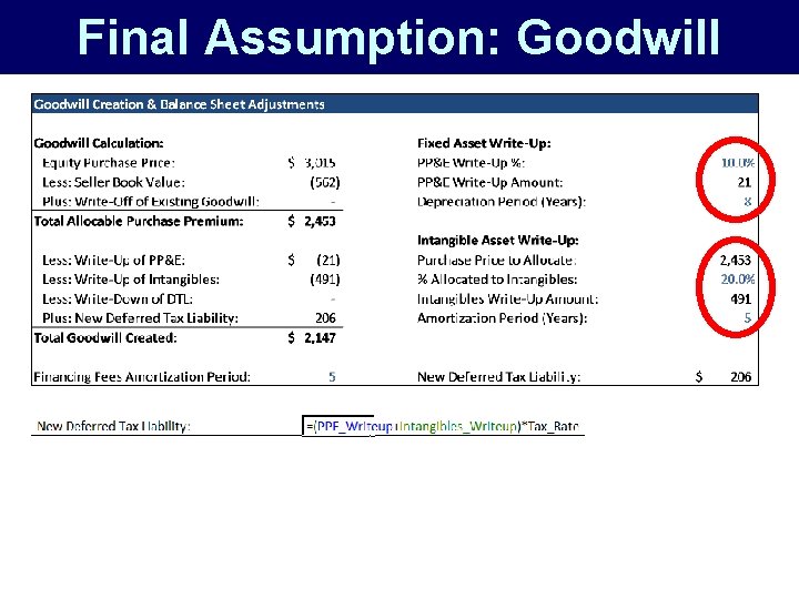 Final Assumption: Goodwill 