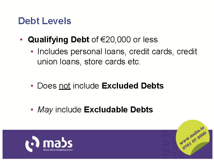 Debt Levels • Qualifying Debt of € 20, 000 or less • Includes personal