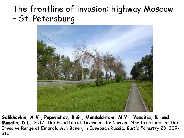 The frontline of invasion: highway Moscow – St. Petersburg Selikhovkin, A. V. , Popovichev,
