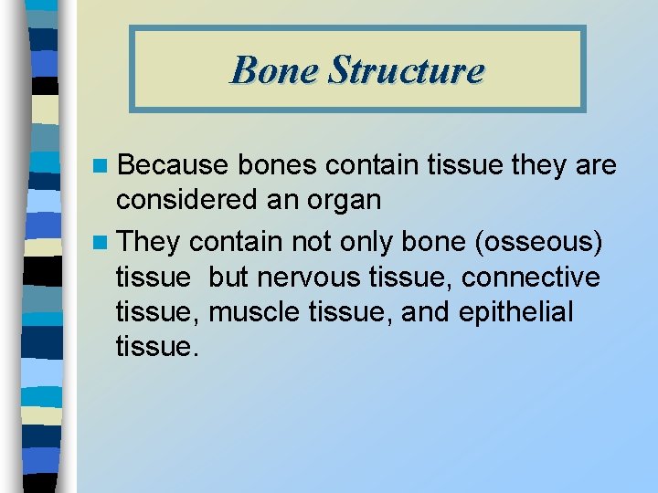 Bone Structure n Because bones contain tissue they are considered an organ n They