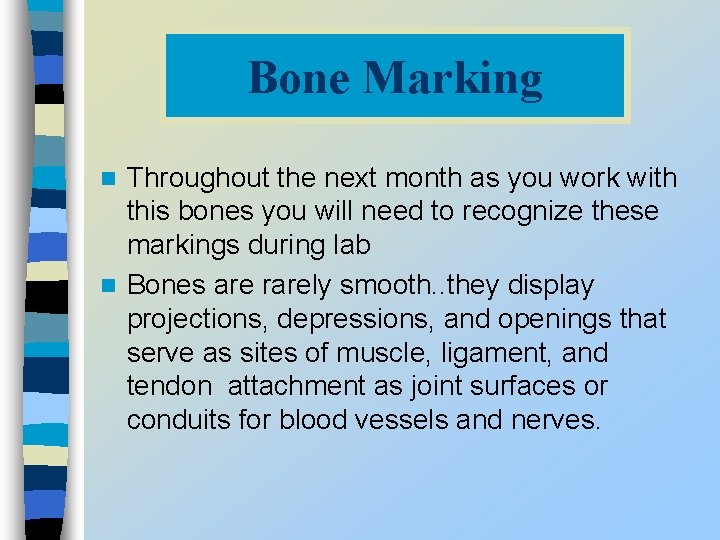 Bone Marking Throughout the next month as you work with this bones you will