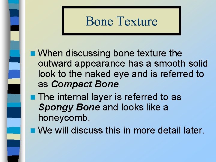 Bone Texture n When discussing bone texture the outward appearance has a smooth solid
