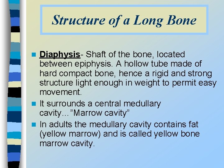 Structure of a Long Bone Diaphysis- Shaft of the bone, located between epiphysis. A