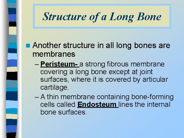 Structure of a Long Bone n Another structure in all long bones are membranes