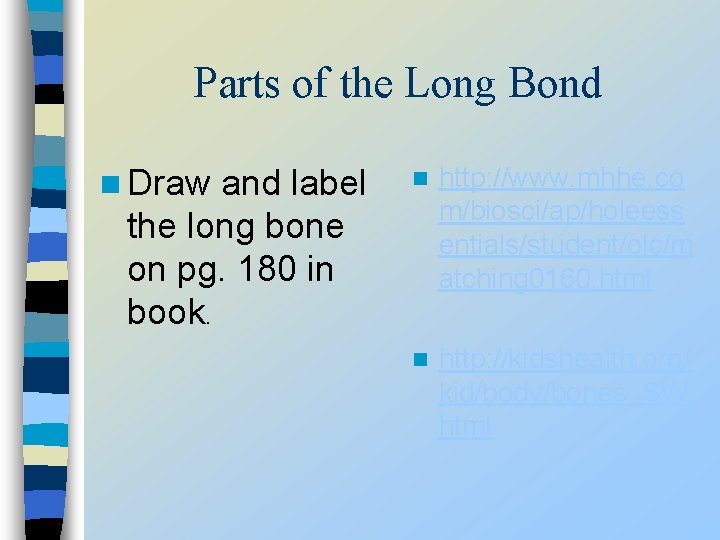 Parts of the Long Bond n Draw and label the long bone on pg.