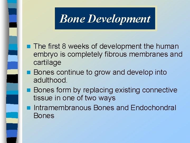 Bone Development The first 8 weeks of development the human embryo is completely fibrous