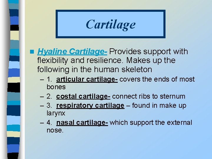 Cartilage n Hyaline Cartilage- Provides support with flexibility and resilience. Makes up the following